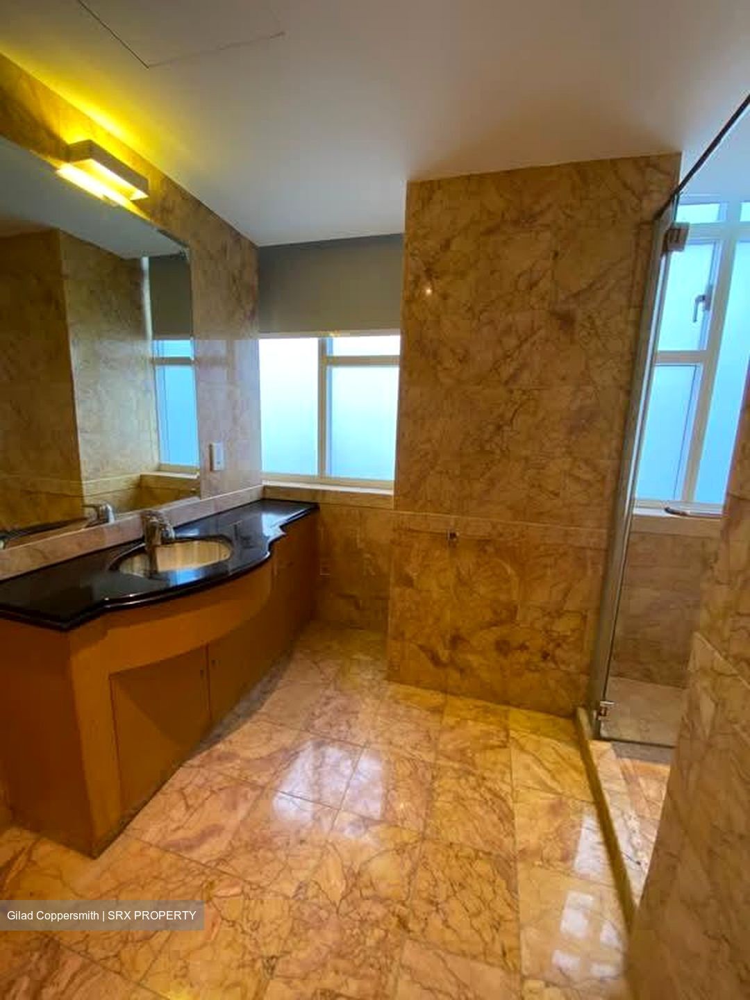 Orchard Scotts (D9), Condominium #547432641